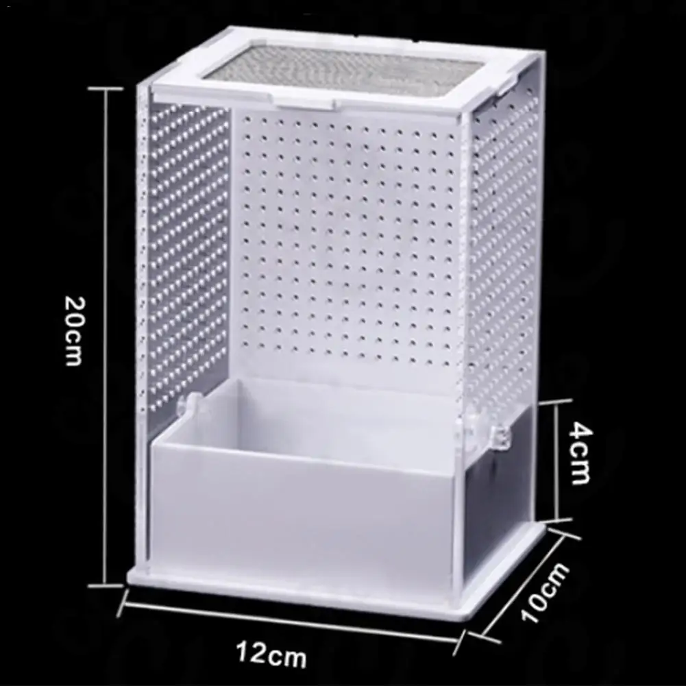 

Transparent Acrylic Reptile Feeding Box Insect Box Praying Mantis Reptile Home Insect Cage Reptile Terrarium Mantis Breeding Box