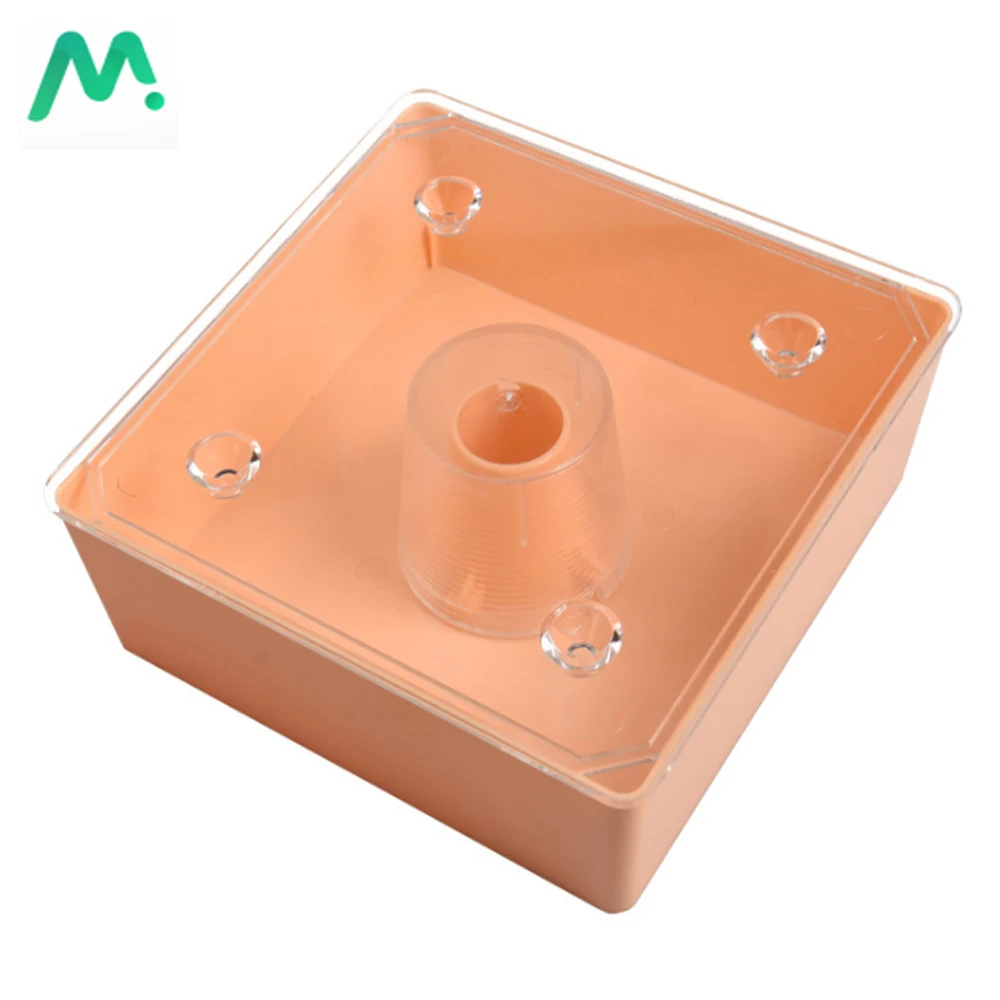 

European Style Square Bee Feeder Waterer Around 2 Litres Capacity Plastic Beekeeping Feeder With Transparent Cover For Apiary