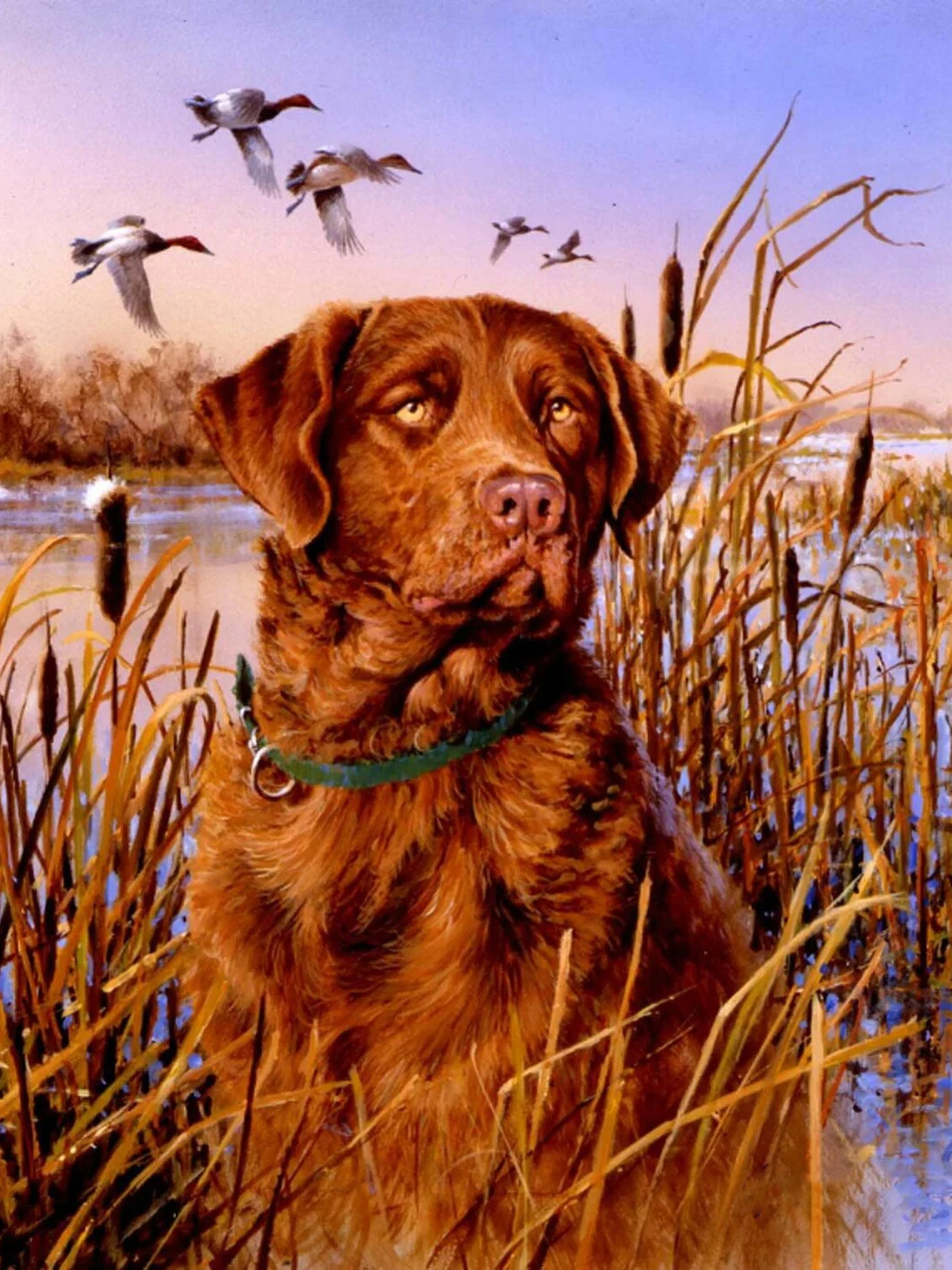 

Diamond Painting Dog Animal Hay Square Diamond Round Diamond Decoration Customizable Wall Art Decoration Frameless Style