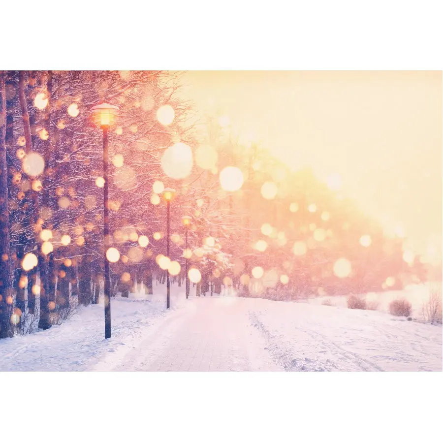 

Winter Photography Backdrop Snowflake Forest Halos Background Snow Bokeh Christmas Birthday Party Decor Photo Studio Props