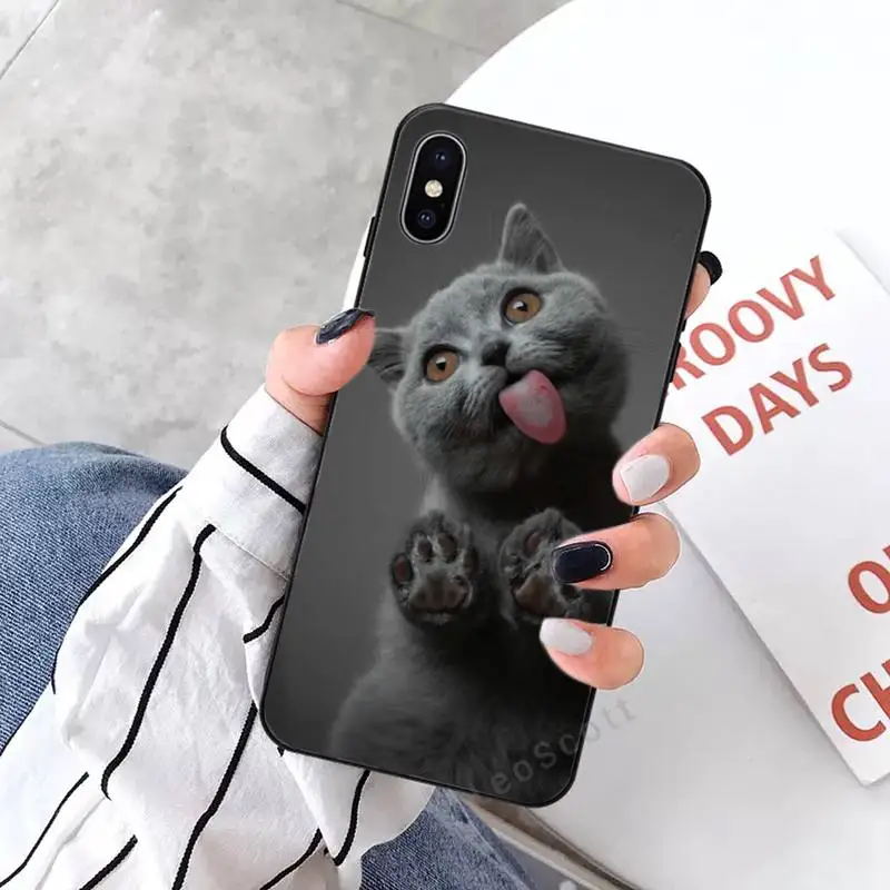

British shorthair cat Phone Case for iPhone 11 12 mini pro XS MAX 8 7 6 6S Plus X 5S SE 2020 XR