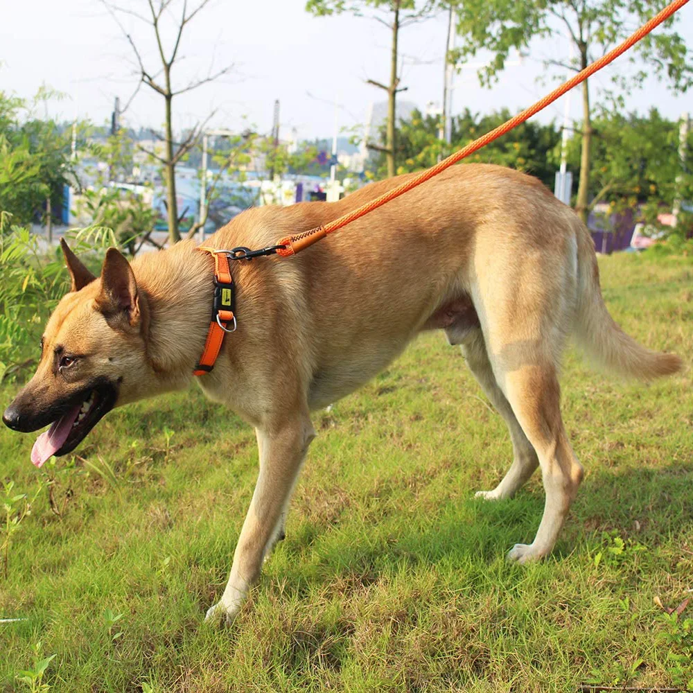 

High quality Dog Leash Outdoor Long Pet Leashes Dog Safe Leash Rope Training Walking Training Leashes medium large pet supplies