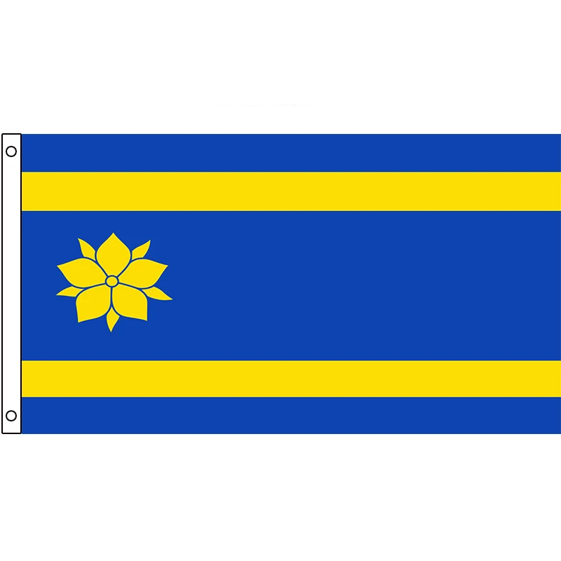 

Hattem Flag Holland Netherlands City 60x90cm 90x150cm Decoration Banner for Home and Garden