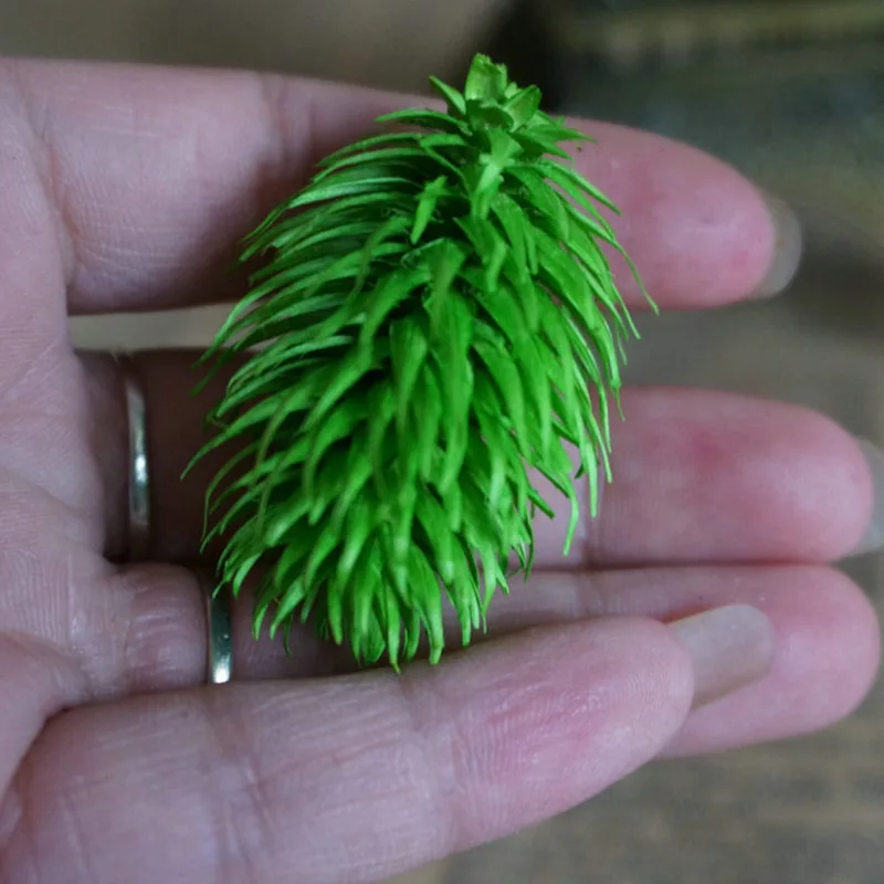 

2021 Newyear Wedding Desktop Home New Decoration High Quality Fresh Cut Material Preserved Natural Dried Green Leaf Vein Fruit