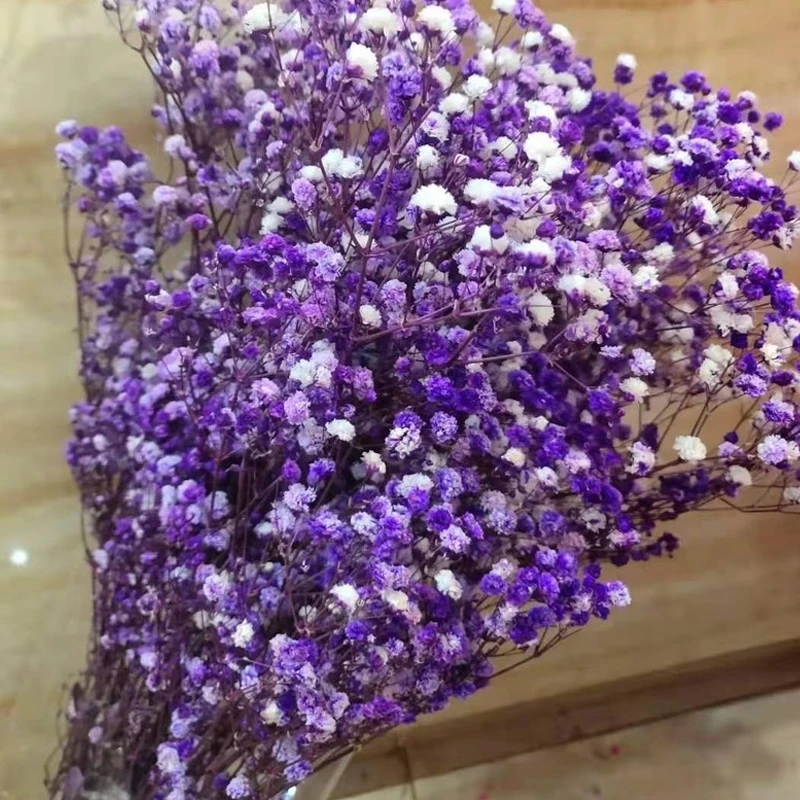 

Natural Fresh Dried Preserved Flowers Gypsophila Paniculata,Baby's Breath Flower Bouquets Gift for Wedding Decoration,Home Decor