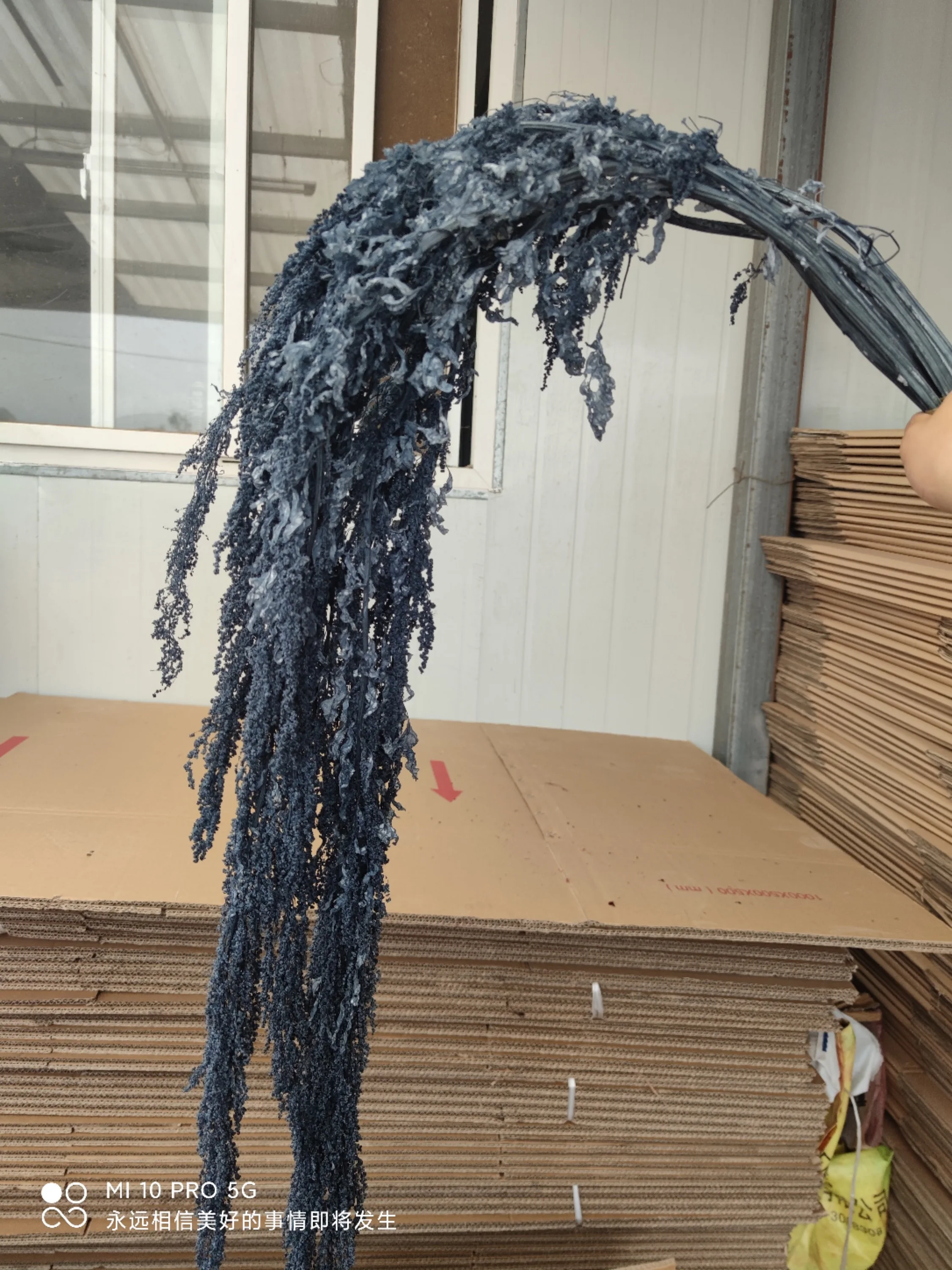 150g Preserved Lover Tears Dry Natural Real Long Flowers Spiker Plant 60-70cm For Home Party Wedding Occasion Decoration Props | Дом и сад