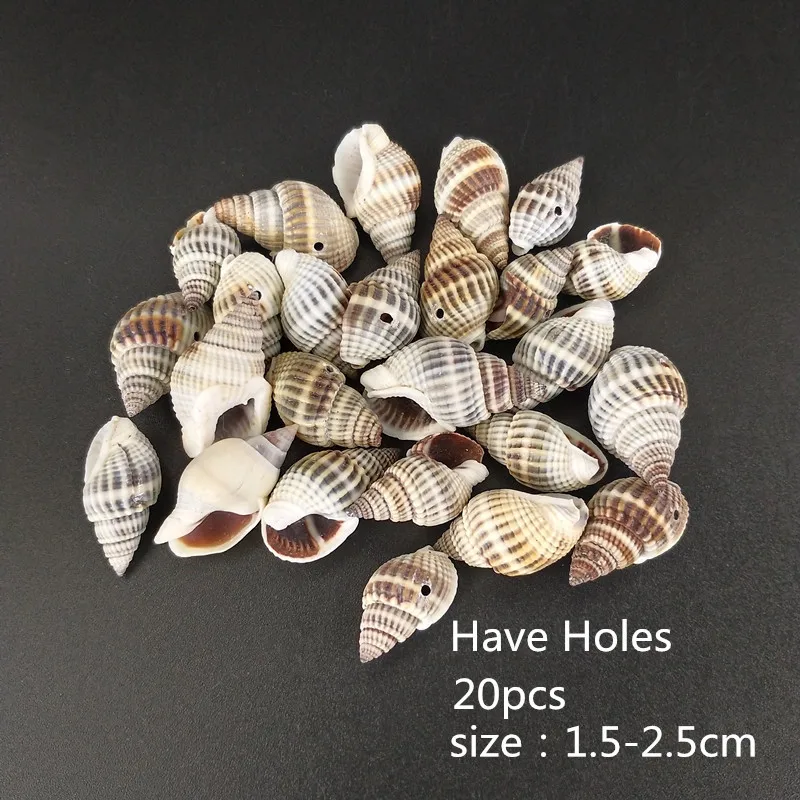 20 style 20pcs HappyKiss 1 набор смешанных ракушек для аквариума, морских декораций, натуральные мини-раковины для средиземноморья - Цвет: 20 style 20pcs