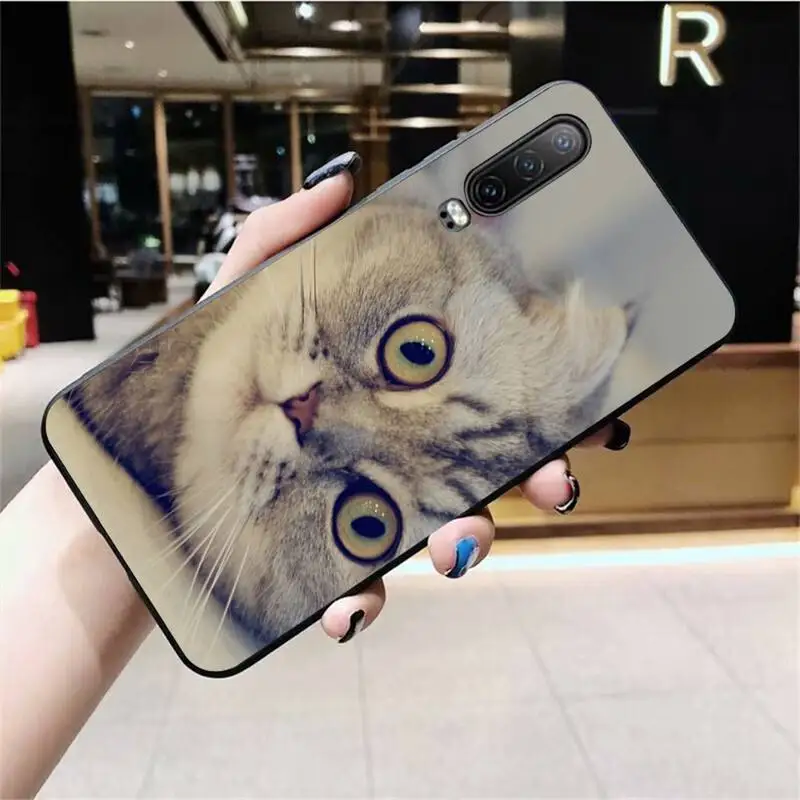 

PENGHUWAN Scottish fold cat Black Cell Phone Case for Huawei P40 P30 P20 lite Pro Mate 30 20 Pro P Smart 2019 prime