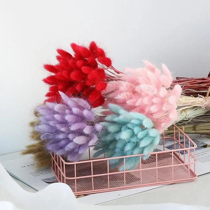 

30pcs/set Natural Dried Flowers Rabbit Tail Grass Bunch Decoration Flower For Wedding Lagurus Props Real Grass Colorful Ova H3H4