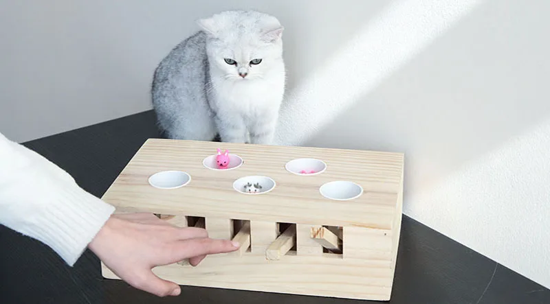 HIPET интерактивные деревянные игрушки для кошек, забавные игрушки для кошек, игрушки для кошек, обучающие игрушки для кошек с 3/5 отверстиями