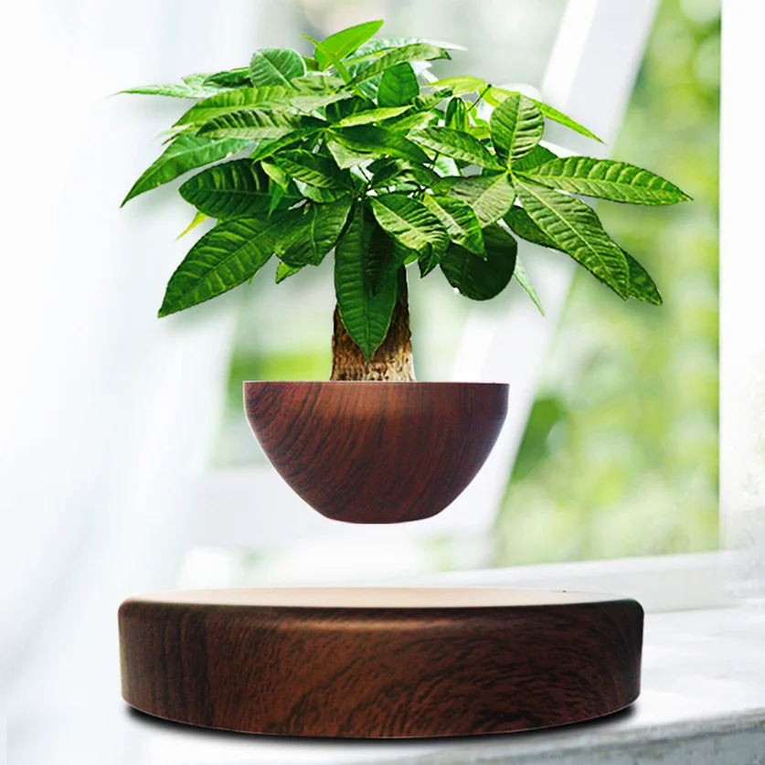 Левитирующий воздушный бонсай горшок-магнитной левитации Плавающий подвесной