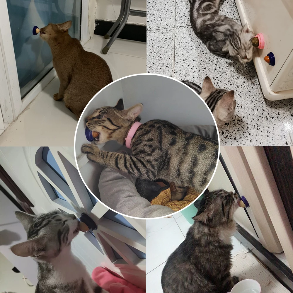 1 шт. практические собака мешки для мусора корм питомцев собаки дозатор мешков