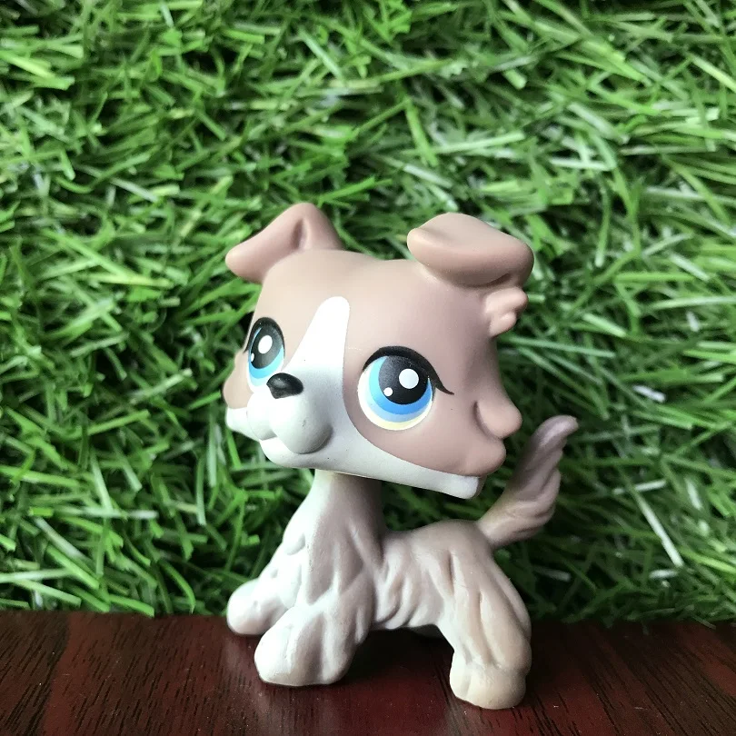 Pet shop игрушки много коротких волос кошка колли большой Дэн кокер спаниель пубби