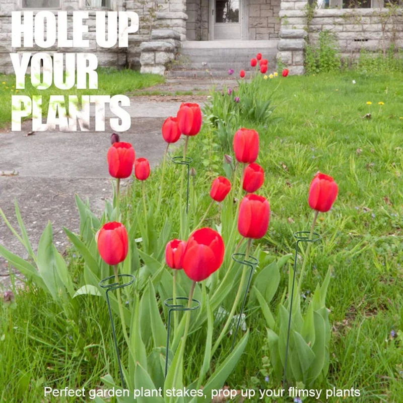 

6Pack Plant Support Stakes ,Single Stem Plant Support Stake & 4PCS Metal Plant Bracket Iron Wall Mount Lanterns Hangers