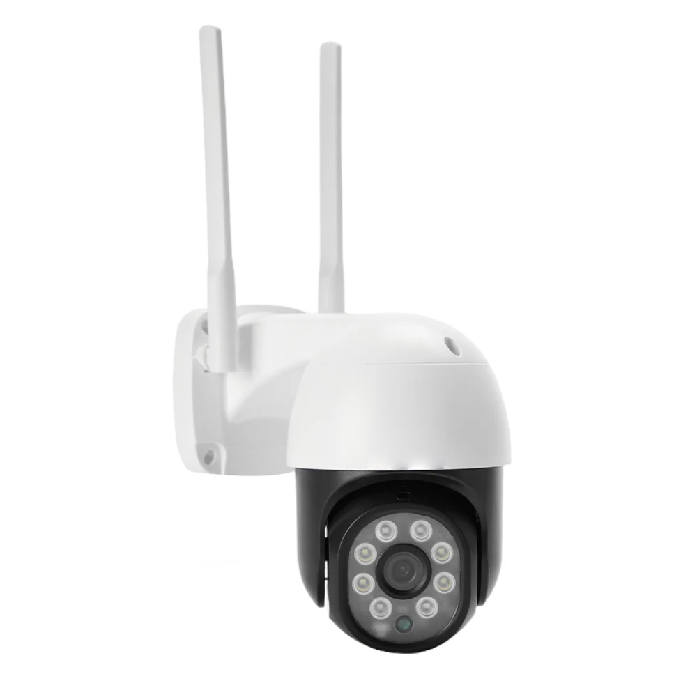 

Video Surveillance