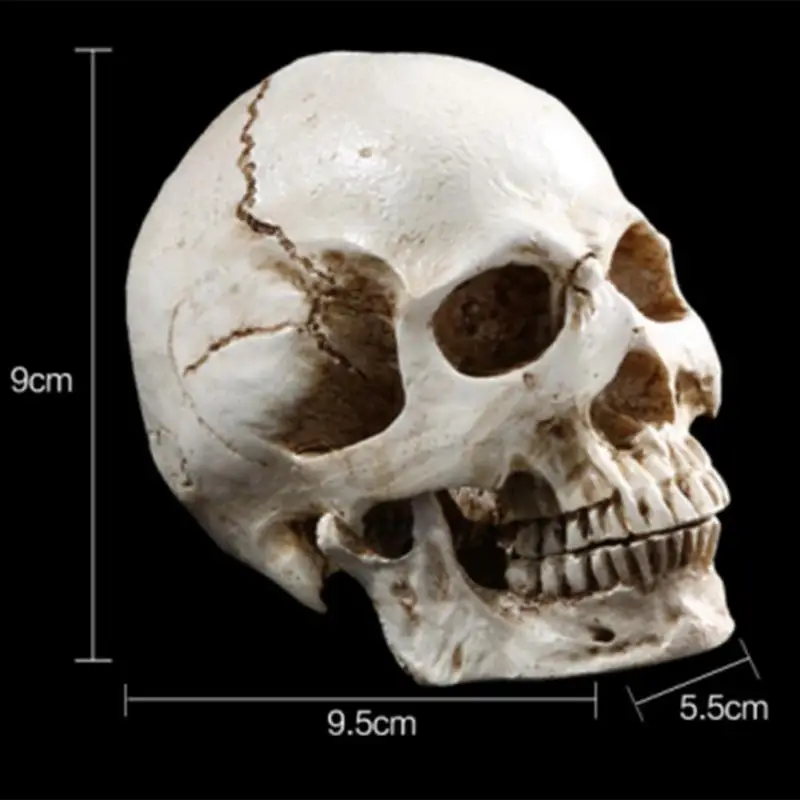 

Skull Head Model Bones Skeleton Halloween Horrible Scene Fit Action Figure Toys Doll Accessories