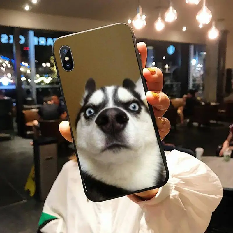 

Puppy Dog Animal Husky cute Phone Case for iPhone 11 12 pro XS MAX 8 7 6 6S Plus X 5S SE 2020 XR