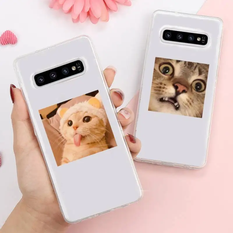 

Cat aesthetics cute animal Phone Case Transparent For Samsung Galaxy A S Note 9 11 10 51 50 71 70 80 20 21 30s ultra plus