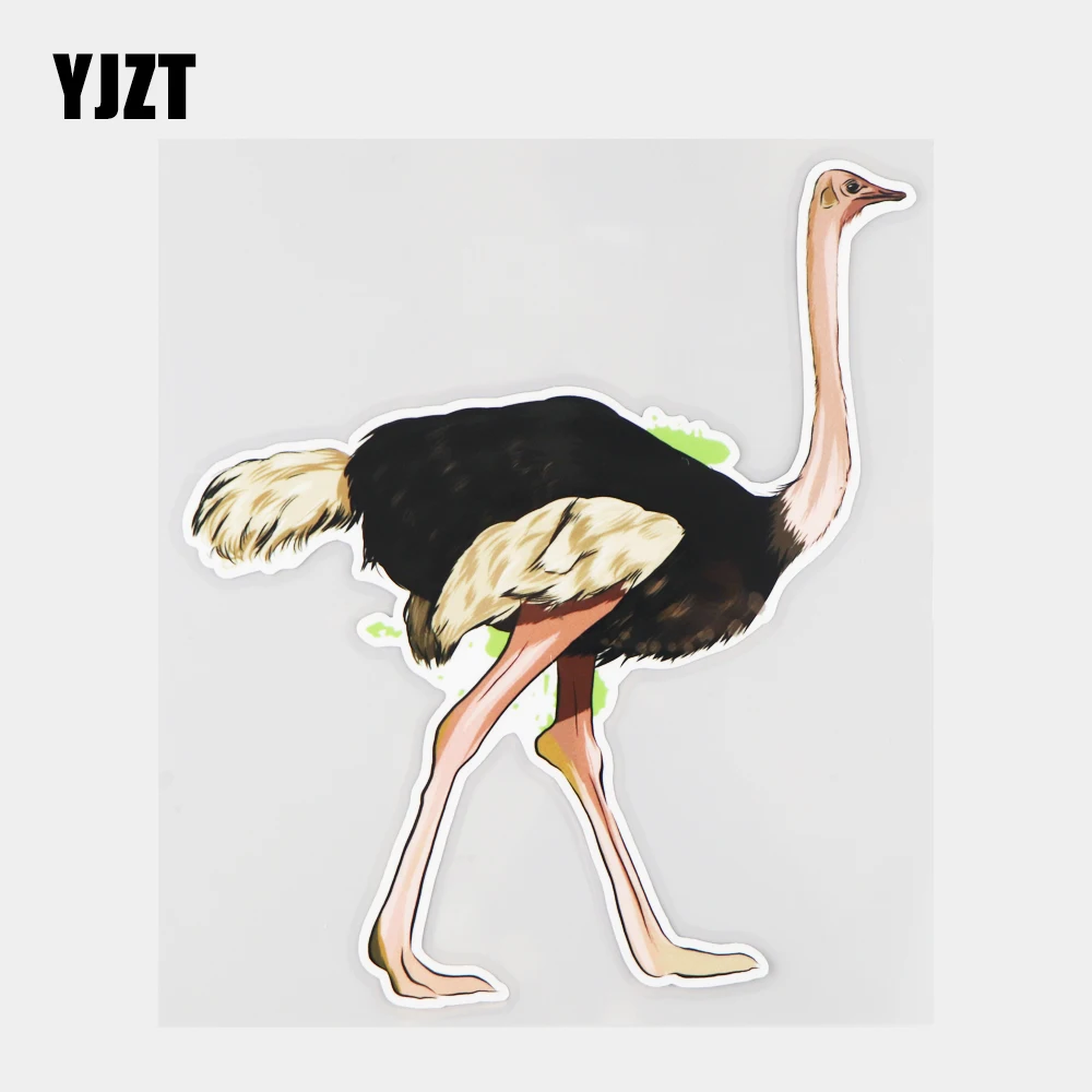 

YJZT 15.7×17.7CM Cute Ostrich Cartoon Vinyl Decals Scratch Cover Body Decoration Car Sticker 21A-1272