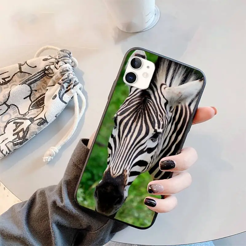 

Animal zebra Phone Case for iPhone 11 12 mini pro XS MAX 8 7 6 6S Plus X 5S SE 2020 XR