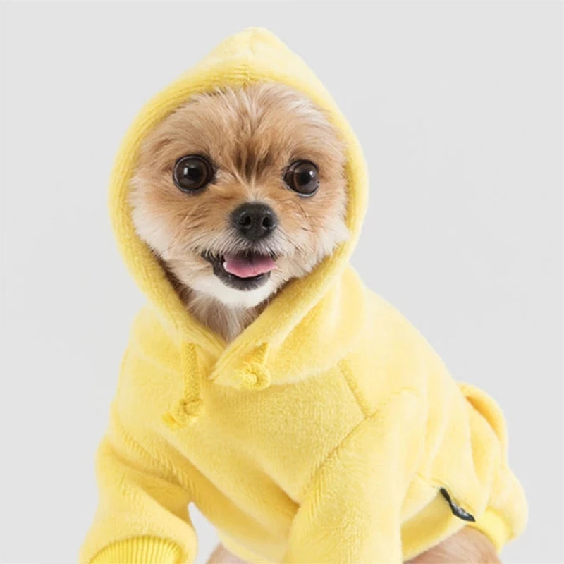 

Winter Dog Sweatshirt Doggie Puppy Dog Hoodies Cat Chihuahua Yorkshire Pomeranian Clothing Poodle Bichon Schnauzer Coat Outfit