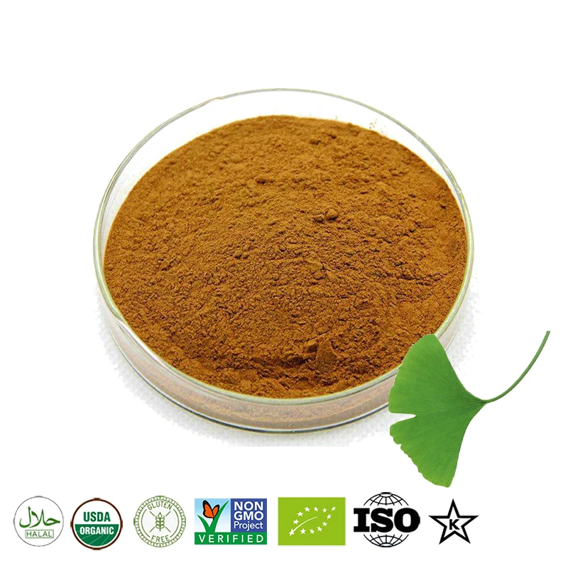 High Quality Organic Ginkgo Biloba Leaves Ginko Biloba Extract Plant Powder Supplement Body Lower Blood Pressure Free Shipping.