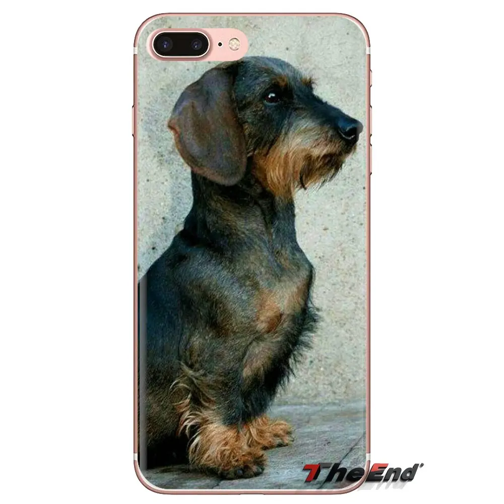 Dachshund Teckel Dackel Dog прозрачный чехол из ТПУ для Xiao mi 6 A1 Max x 2 5X 6X Red Note 5 5A 4X 4A A4 4 3 Plus Pro |