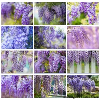 5d diy diamond painting wisteria full round square drill embroidery cross stitch kit flower mosaic pictures handmade home decor