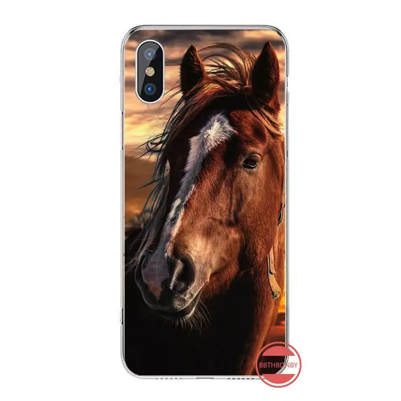 

Frederik The Great beauty horse Phone Case For iphone 12 5 5s 5c se 6 6s 7 8 plus x xs xr 11 pro max