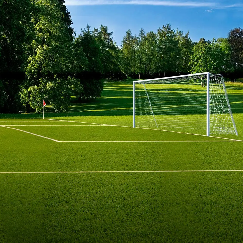 

soccer park football sports field goal post green grass tree background Vinyl cloth Computer print wall backdrop