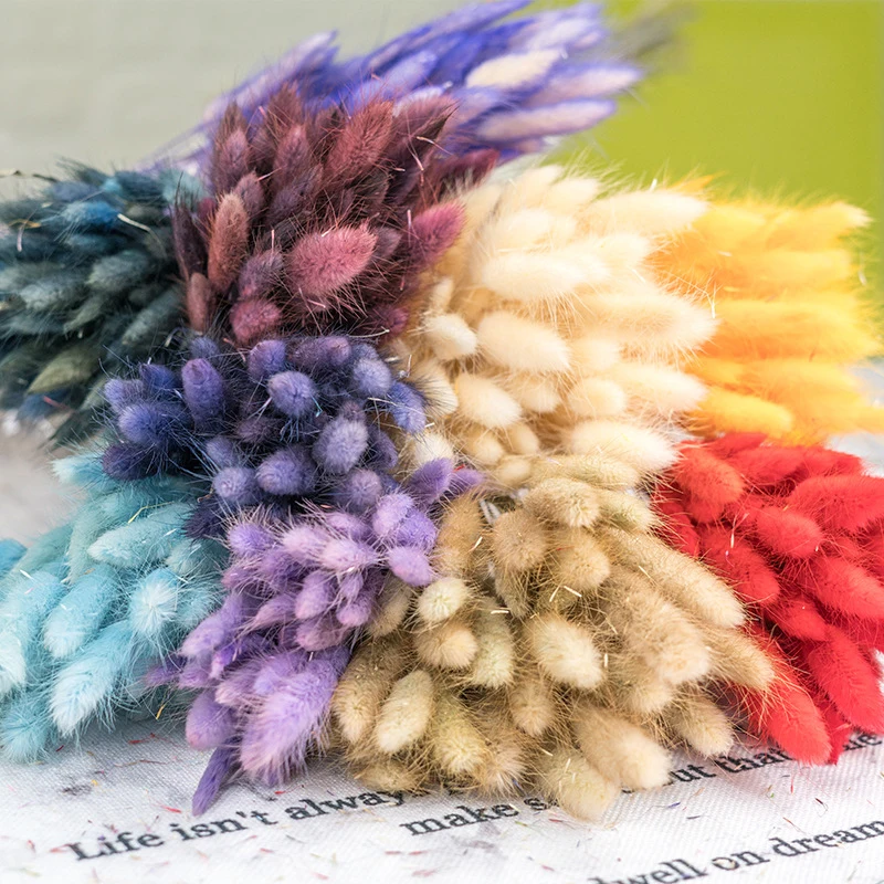 

Rabbit Tail Grass Natural Dried Flowers For Home Wedding Decoration Flower Arrangement Lagurus Ovatus Real Flower Grass Props