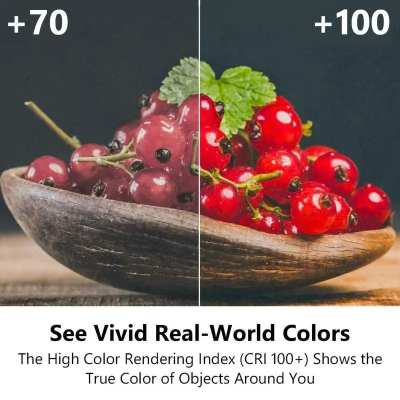 

4x 50W 12V Halogen G6.35 Dimmable Clear Capsule Light x Lamp 10mm 40mm With Support UV Dropshipping Bulb Stop A8R5