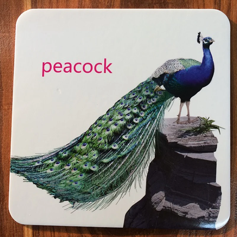 44 шт./компл. детская Фотокарта памяти с животными Монтессори материалы для