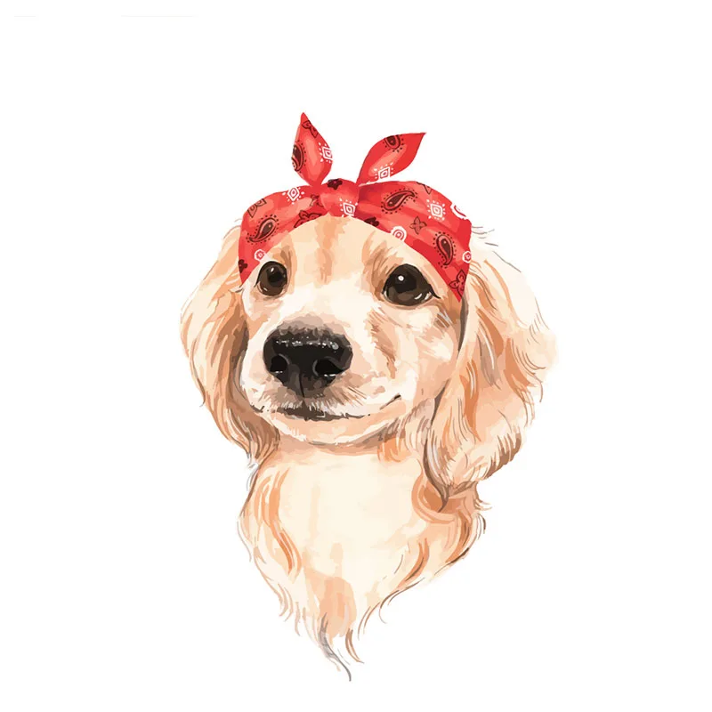 Собака животное DIY картина маслом по номерам комплект художественное полотно