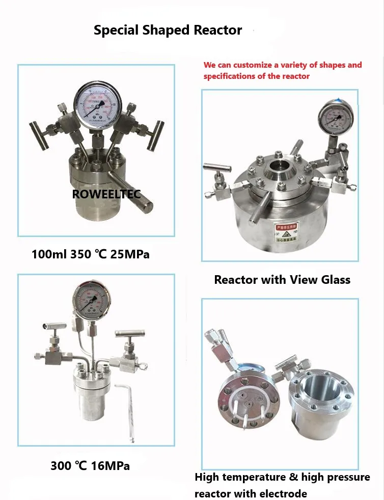 Автоклав с гидротермосинтезирующим реактором камерой из ПТФЭ 100 мл 6 МПа газовым