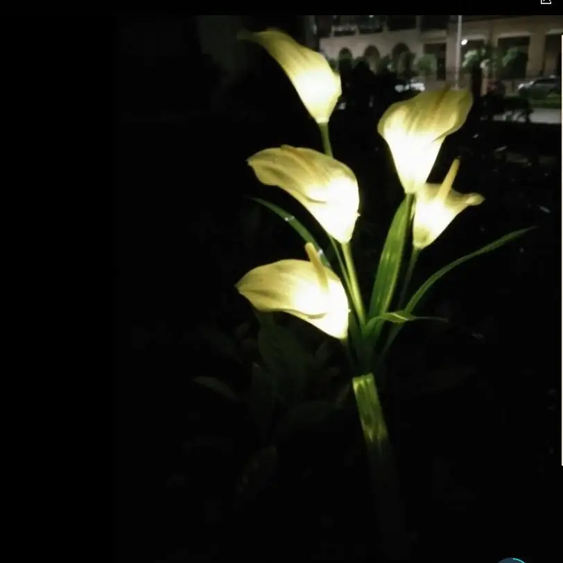 HiMISS 1 шт. Calla Lily Flower на солнечной батарее 5 светодиодов контактный светильник