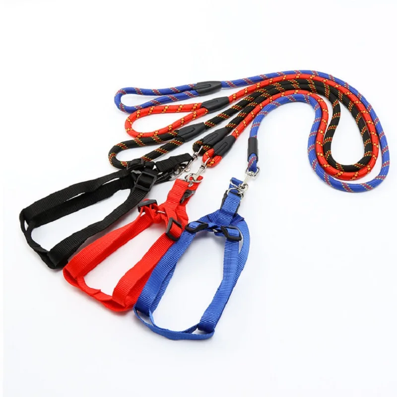 Регулируемый собака портупея цепь комплект с изображением большой кошки собаки