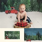 Фон для фотосъемки Рождество снег Рождественские елки снежное поле фон Зимний лес день рождения художественный портрет фотосъемка