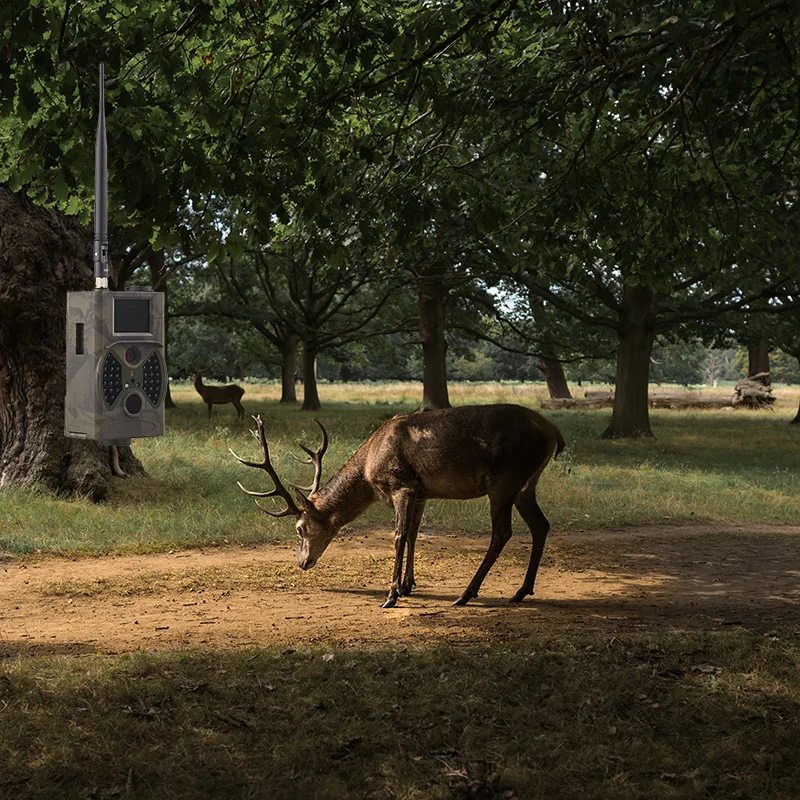 

HD Surveillance Camera Wildlife Camera 16MP Trail Camera Outdoor Camera Infrared Night Vision Camera Waterproof Camera HC 300M