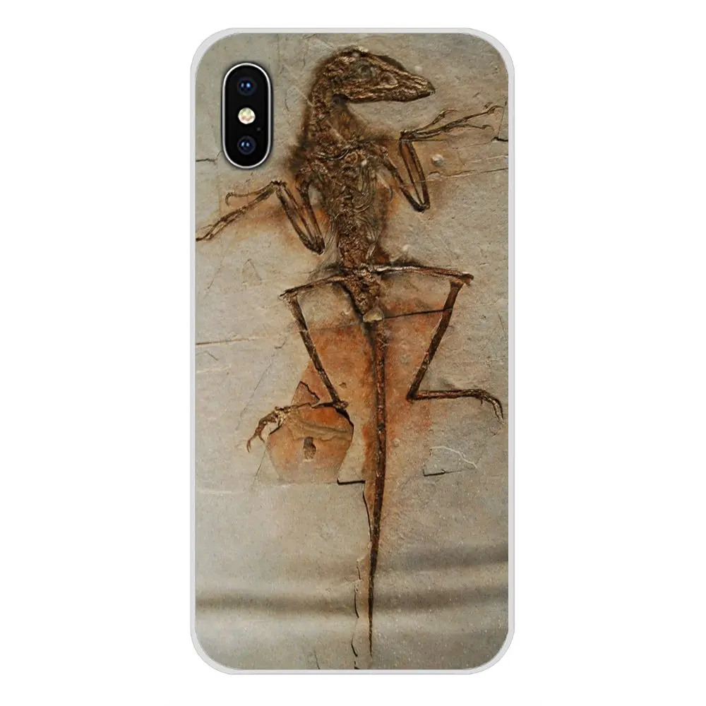 Биологические окаменелости растения динозавра рыбы для Oneplus 3 5 6 7 T Pro Nokia 2 8 9 230 1 Plus