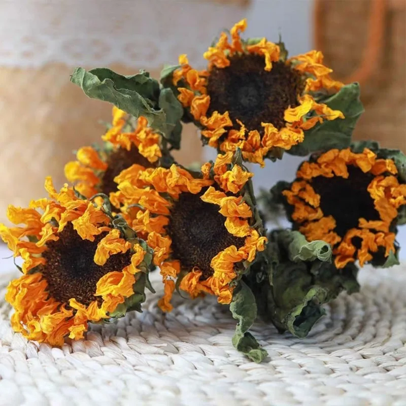 

Natural Sunflowers Real Dry Flower Bouquet Pastoral Home Office Living Room Decoration Wedding Party Photo Props