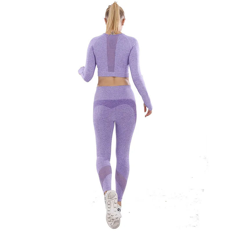 

New sexy mesh seamless stretch sportswear suit