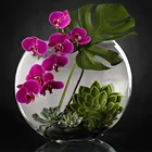 PDMDOG 5D алмазная живопись сделай сам, Орхидея, суккуленты, полноразмернаякруглая Алмазная вышивка, вышивка крестиком, цветы, украшение для дома