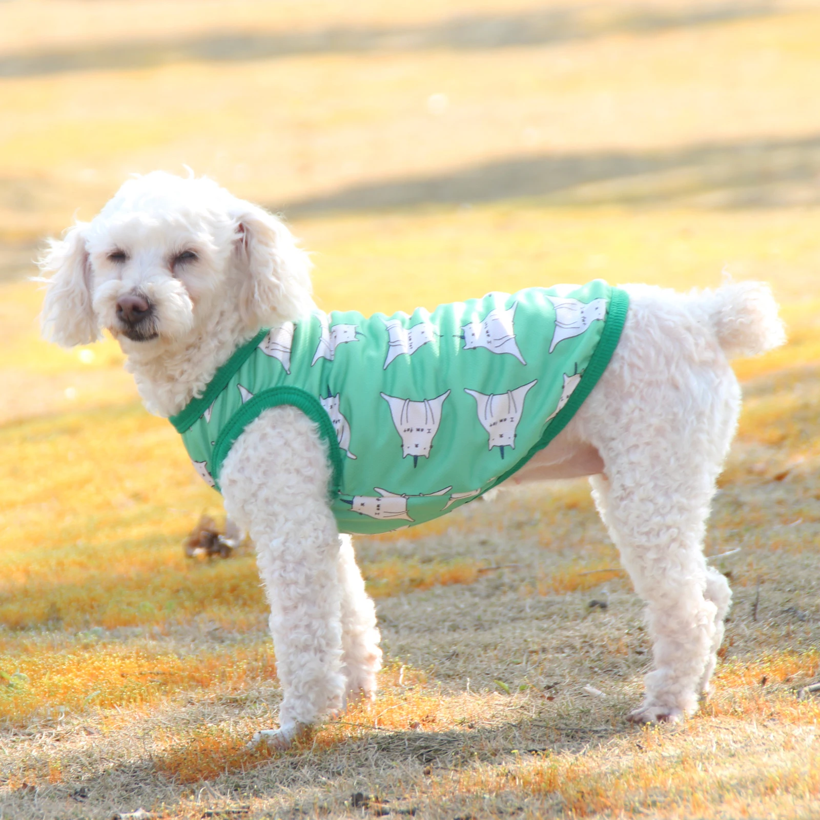 

Dog Clothes, Cute Cats And Dogs, Summer Thin, Breathable And Easy To Clean, Corgi Teddy Small And Medium-Sized Dog T-Shirt