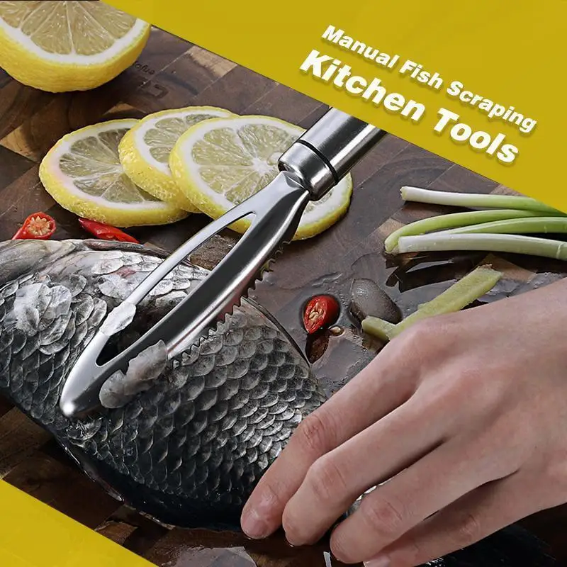 

Wonderlife Manual Fish Scraping Kitchen Tools 304 Stainless Steel Fish Scaler Remover Manual Scraping Fish Scales Fish Knife