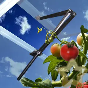 RERO Высокое качество двойной пружинный автоматический для теплицы