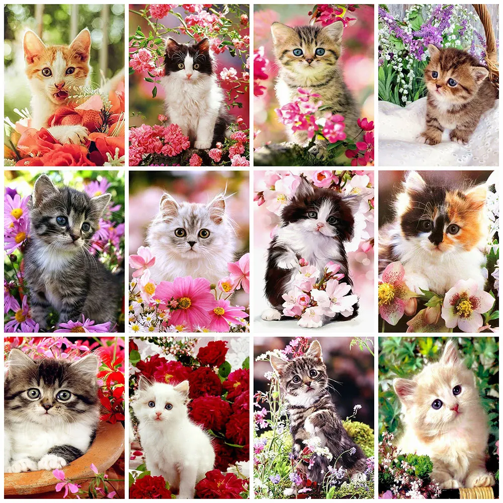 

Momoart 5D Diamond Painting Cat Full Square&Round Diamond Embroidery Animal Flower Handicrafts Mosaic Art Picture Wall Decor