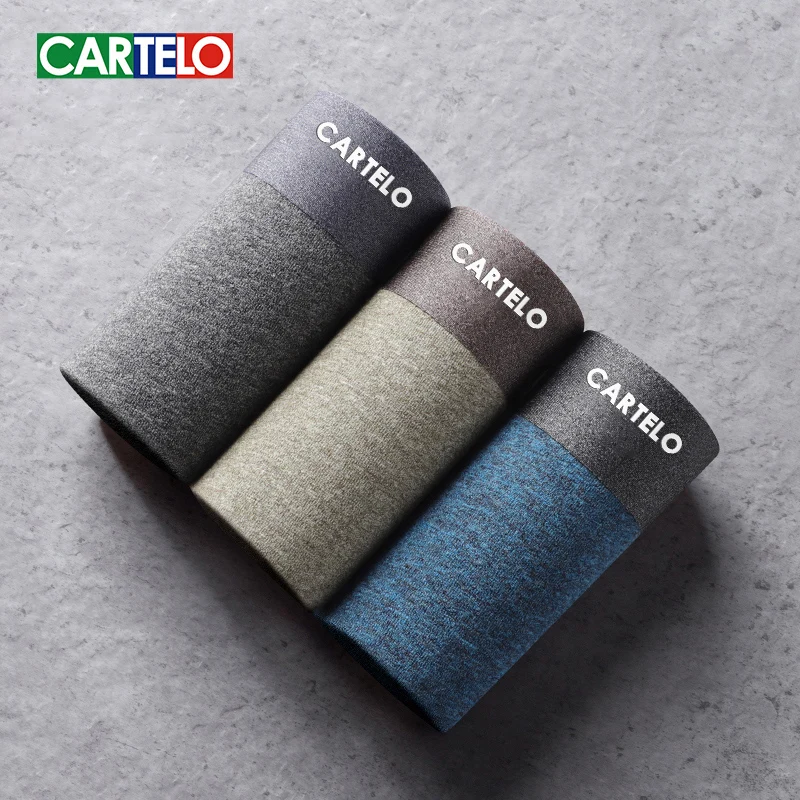 

CARTELO Men's Underwear Graphene 3A Grade Antibacterial Pure Cotton Moisture Absorbent Soft Elastic Waistband Male Panties Boxer