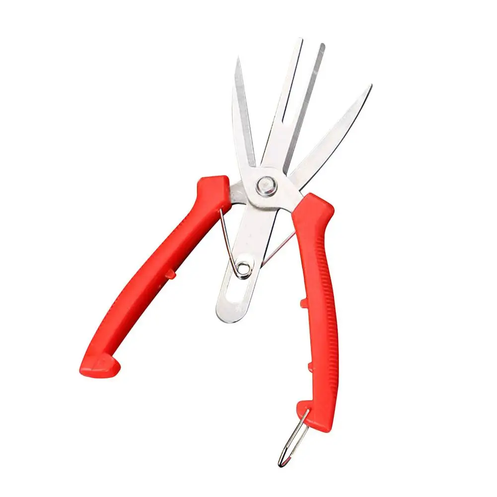 

Double-port Fruit And Flower Thinning Shears Fruit Picking Shears Gardening Pruning Shears Fruit Tree Pruning Tools