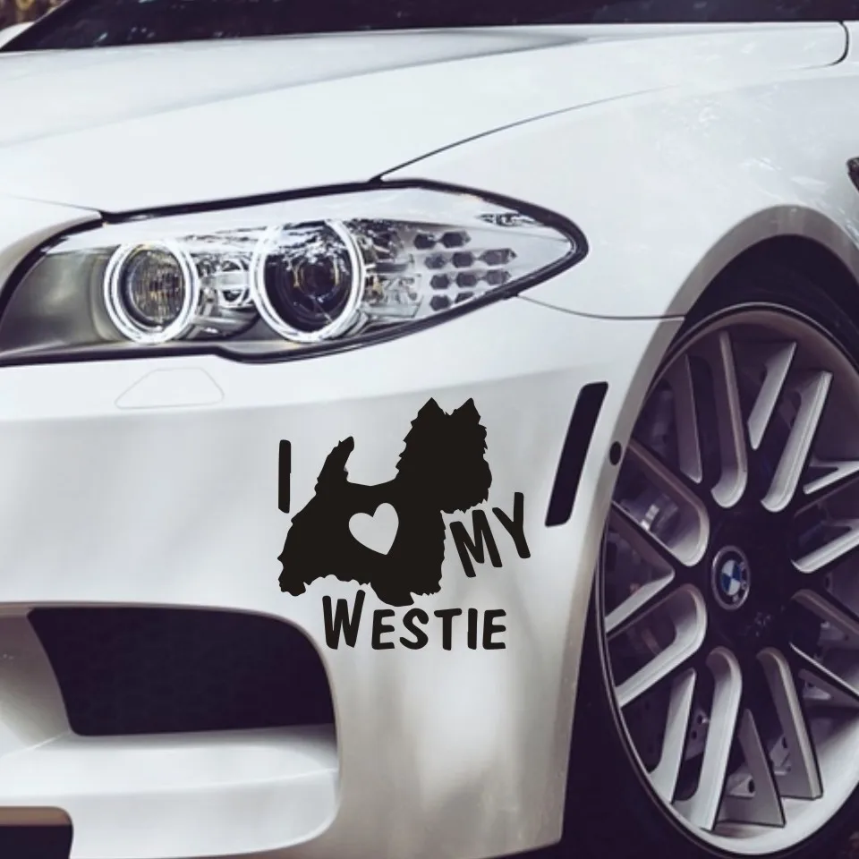 Смешная наклейка для кузова автомобиля 14*14 см | Автомобили и мотоциклы